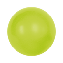 Mesa de Ping Pong Evolution